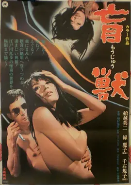 电影《从你的全世界路过》海报